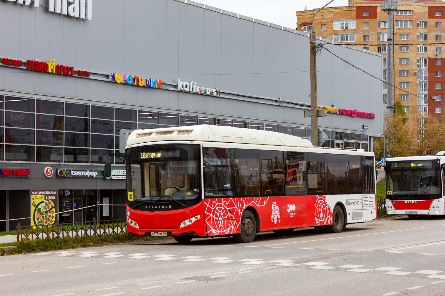 Пермский край, Volgabus-5270.G2 (CNG) № М 975 РМ 159