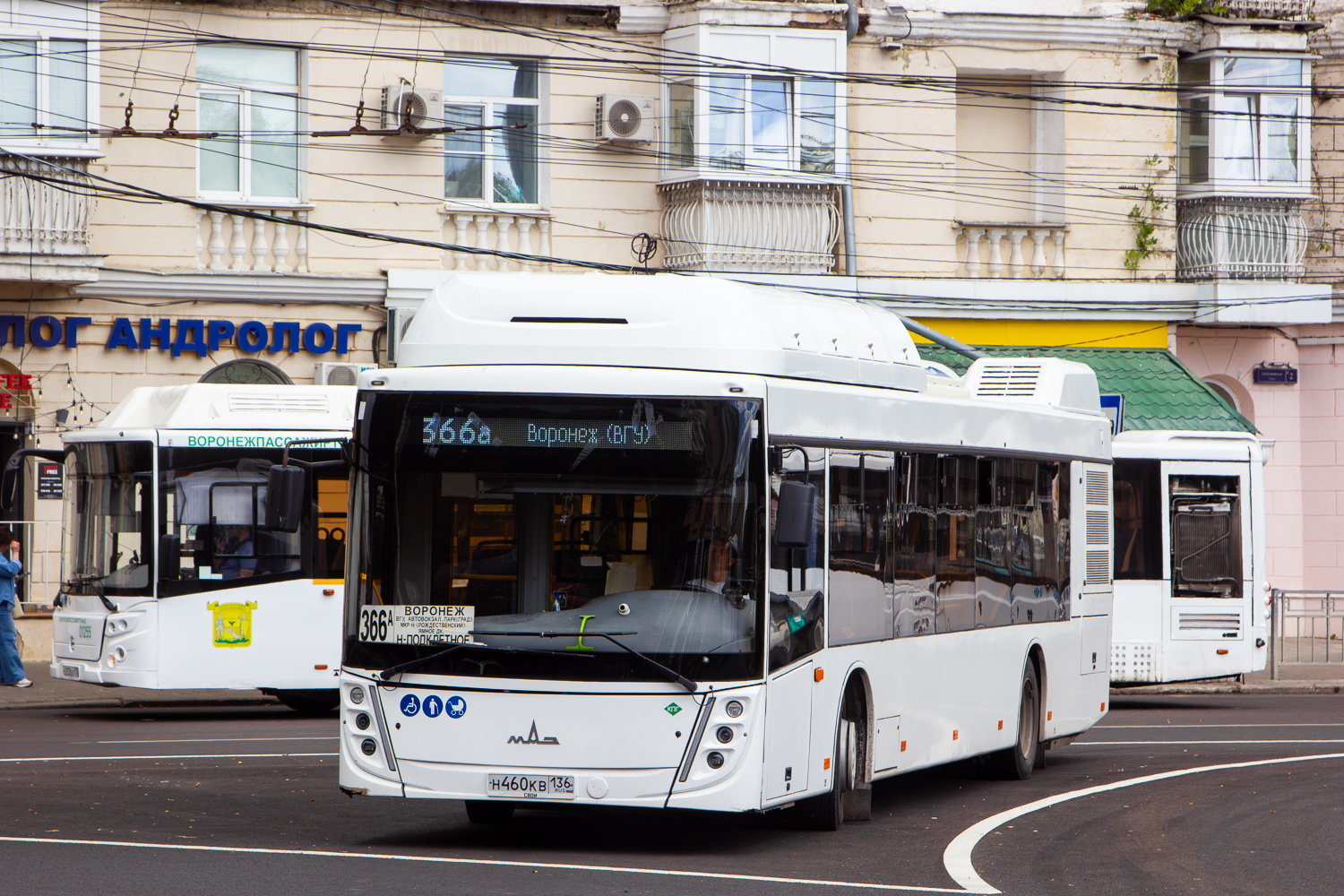 Воронежская область, МАЗ-203.948 № Н 460 КВ 136