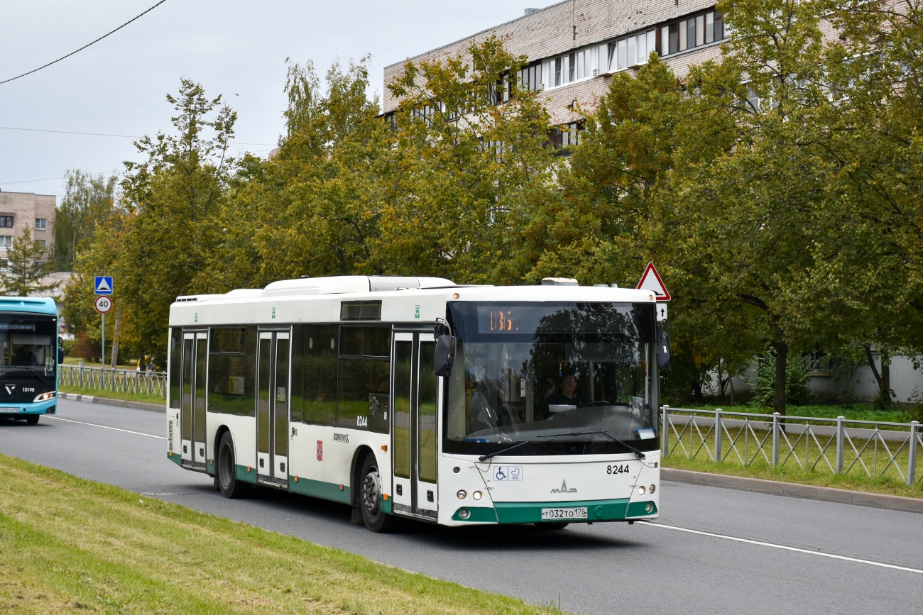 Санкт-Петербург, МАЗ-203.085 № 8244