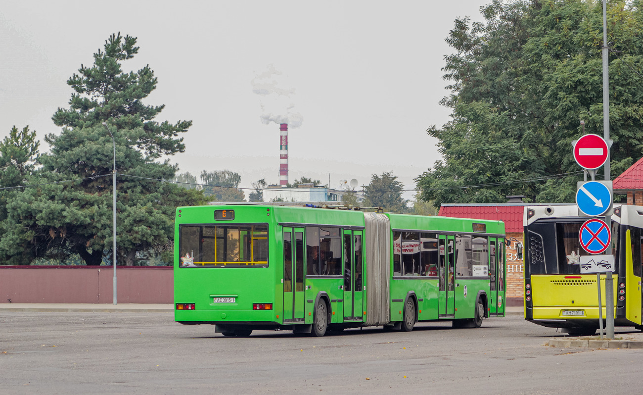 Брестская область, МАЗ-105.465 № 11900