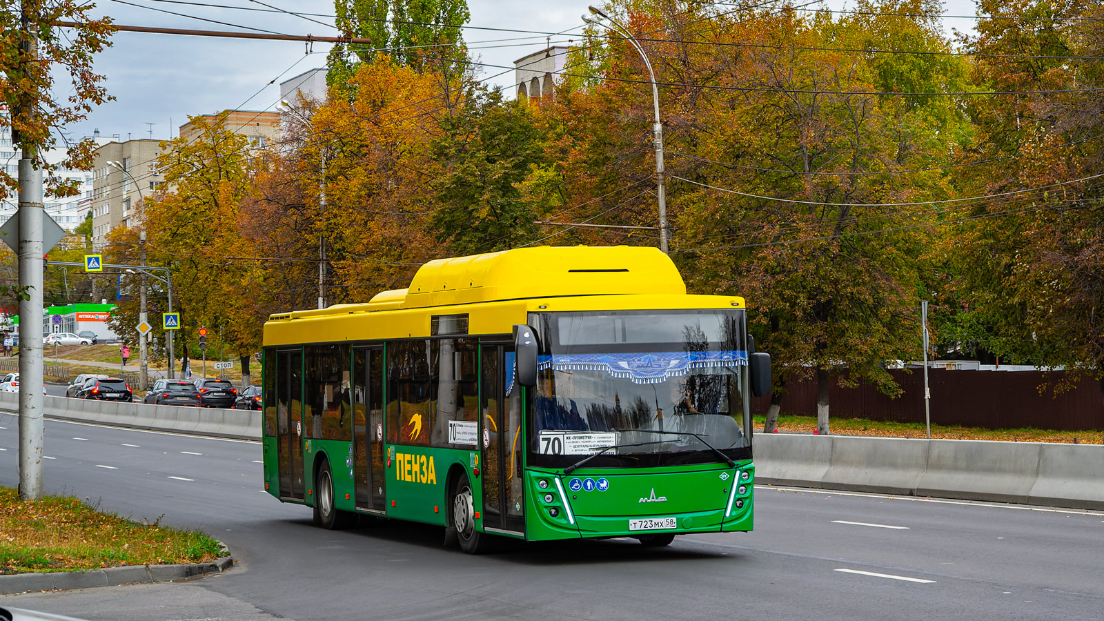 Пензенская область, МАЗ-203.948 № Т 723 МХ 58
