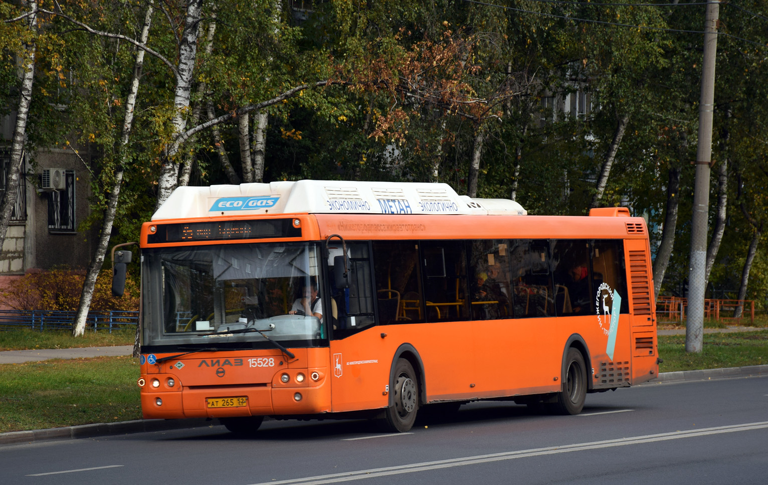 Нижегородская область, ЛиАЗ-5292.67 (CNG) № 15528