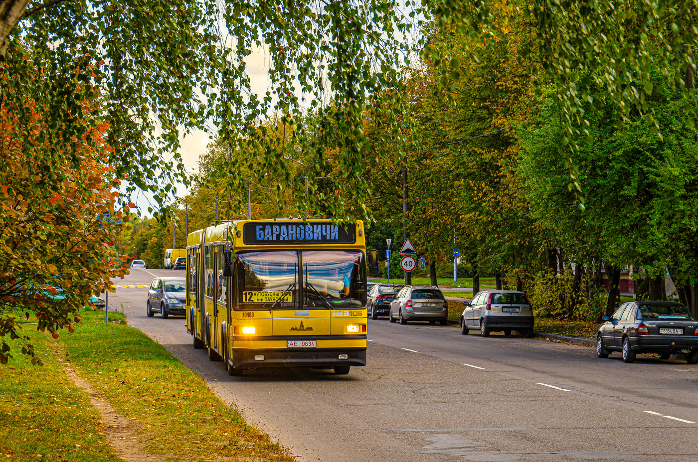 Брестская область, МАЗ-105.060 № 10480