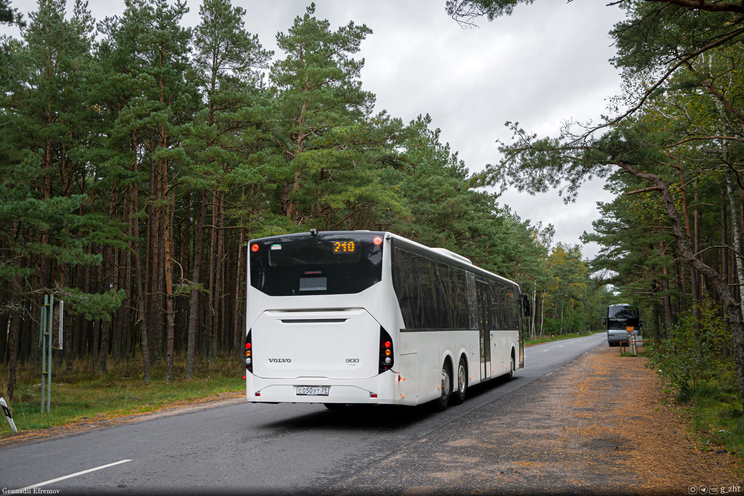 Калининградская область, Volvo 8900BLE № С 050 ХТ 39