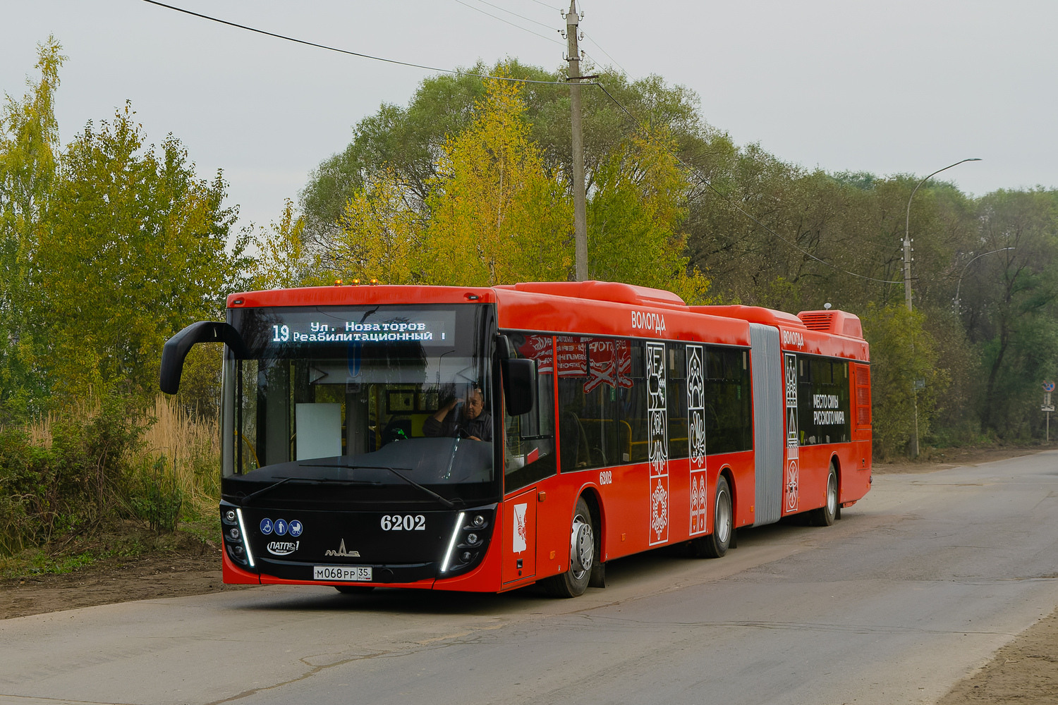 Вологодская область, МАЗ-216.047 № 6202