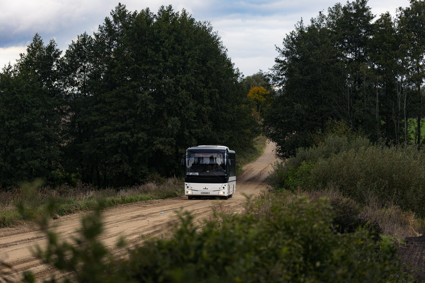 Брестская область, МАЗ-232.162 № 960