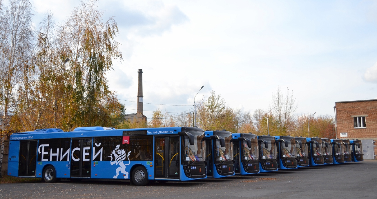 Красноярский край, МАЗ-203.947 № Х 778 УК 124; Красноярский край — Новые автобусы