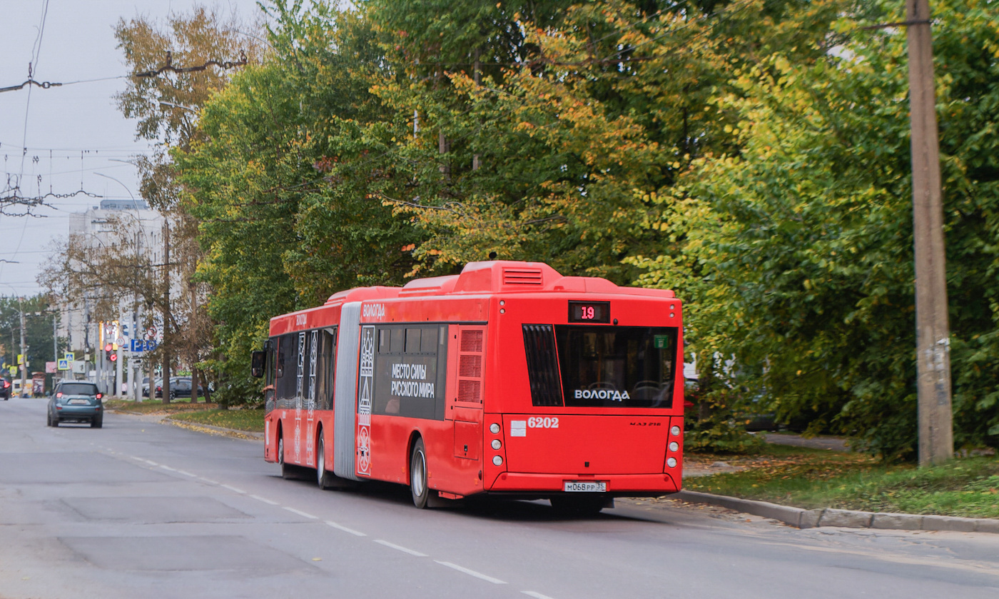Вологодская область, МАЗ-216.047 № 6202