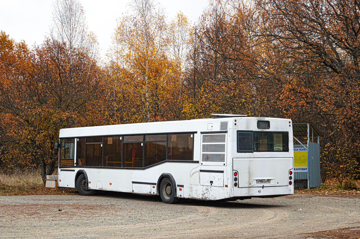 Пензенская область, МАЗ-103.465 № О 986 ЕВ 58