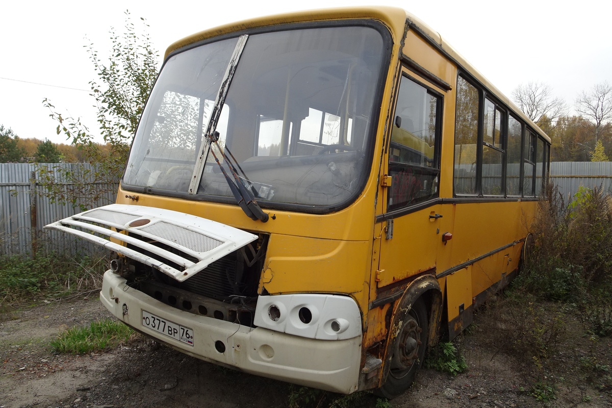 Ярославская область, ПАЗ-320412-03 № 976