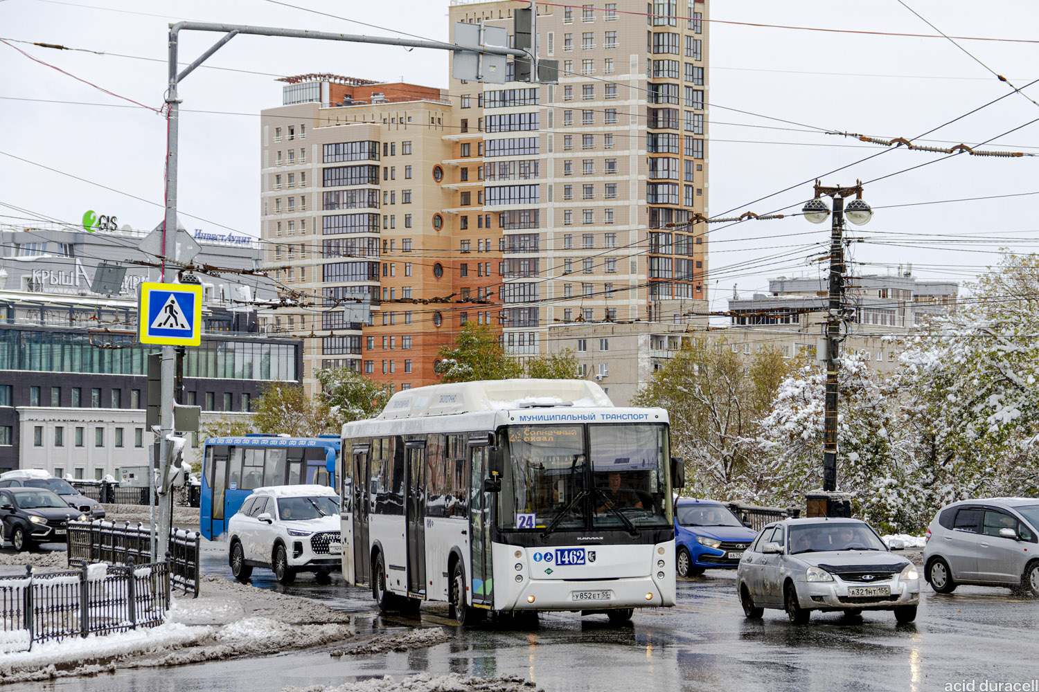 Омская область, НефАЗ-5299-30-56 № 1462