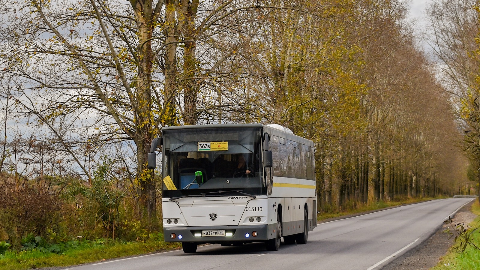 Московская область, ЛиАЗ-5250 № 015110