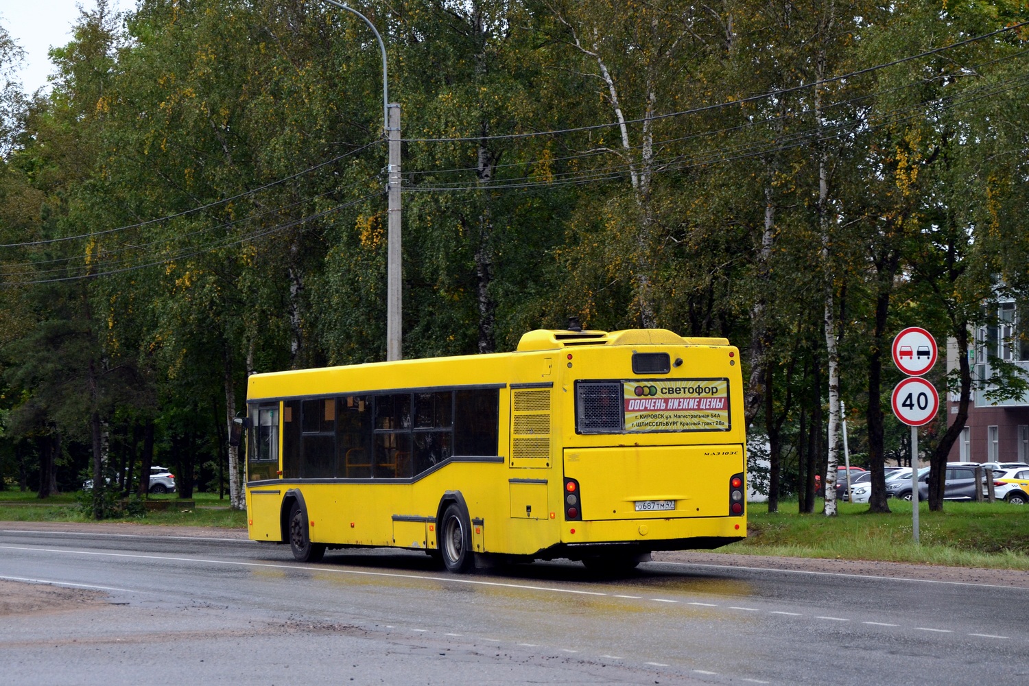 Ленинградская область, МАЗ-103.586 № О 687 ТМ 47