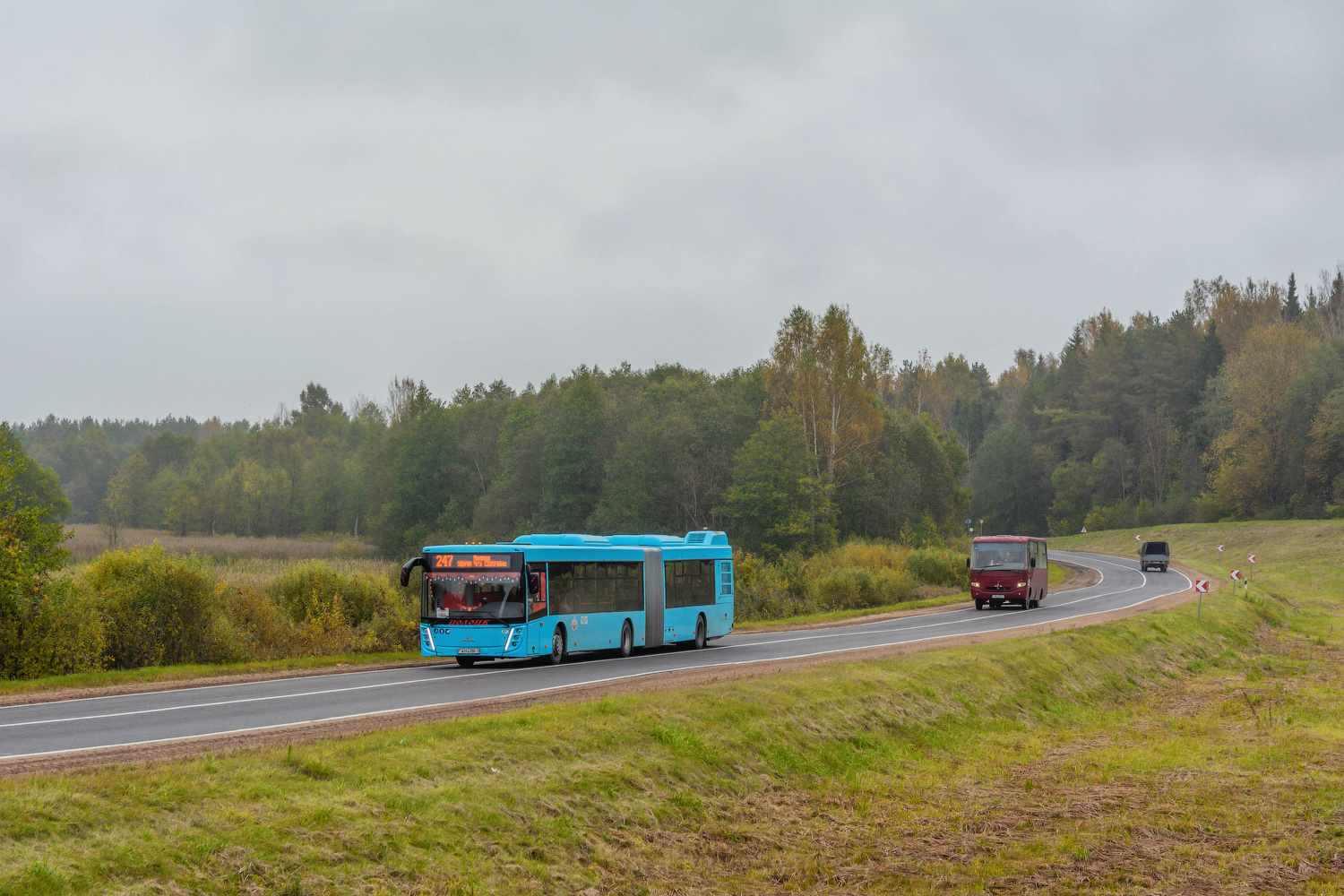 Vitebsk region, MAZ-216.047 # 020881; Vitebsk region, MAZ-256.*** # АЕ 9382-2; Vitebsk region &mdash; Miscellaneous photos