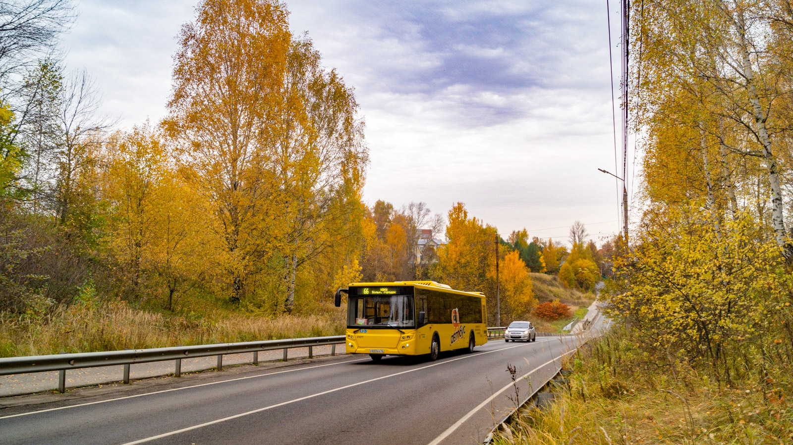 Ярославская область, ЛиАЗ-5292.65 № 21017; Ярославская область — Разные фотографии
