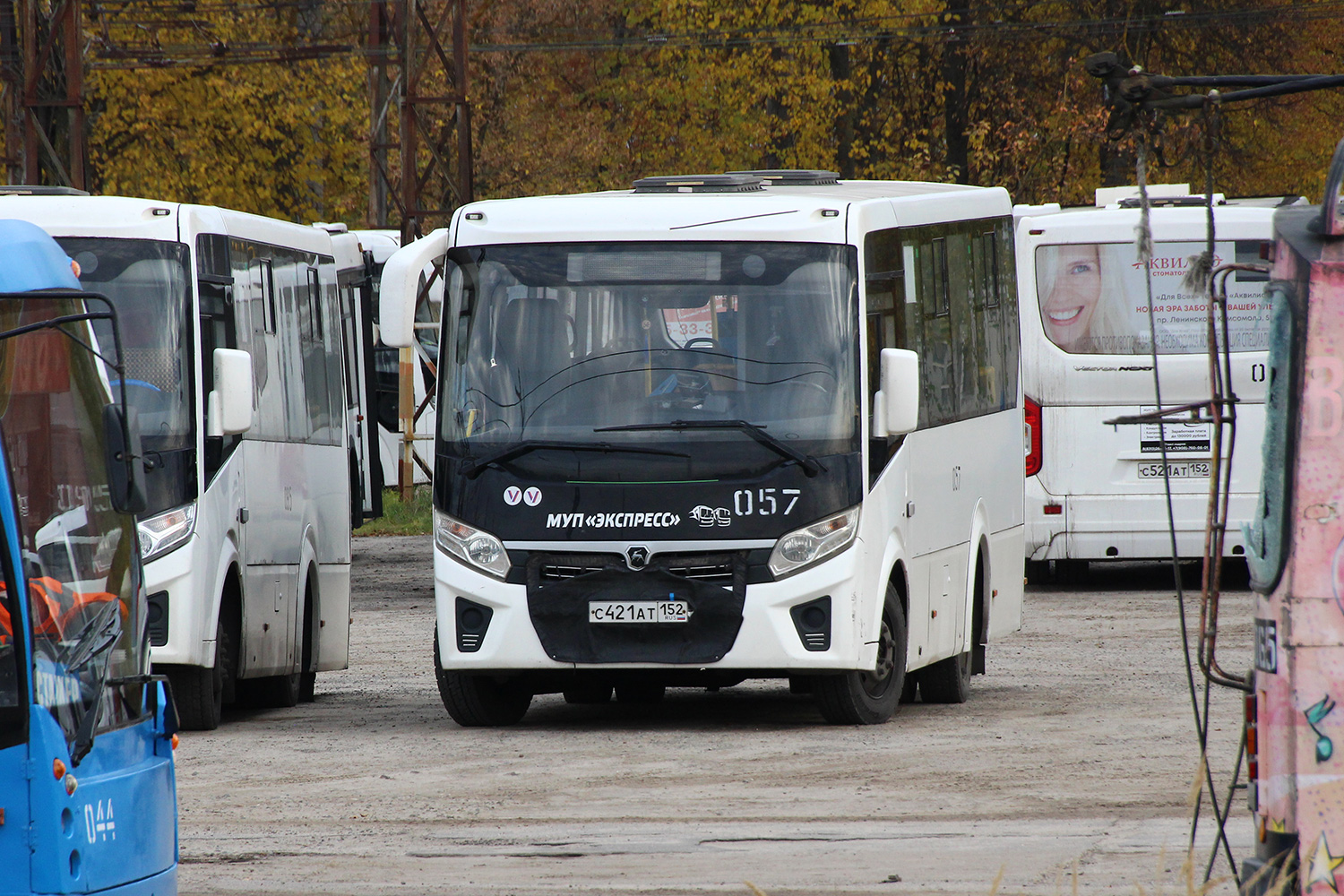 Нижегородская область, ПАЗ-320435-04 "Vector Next" № 057