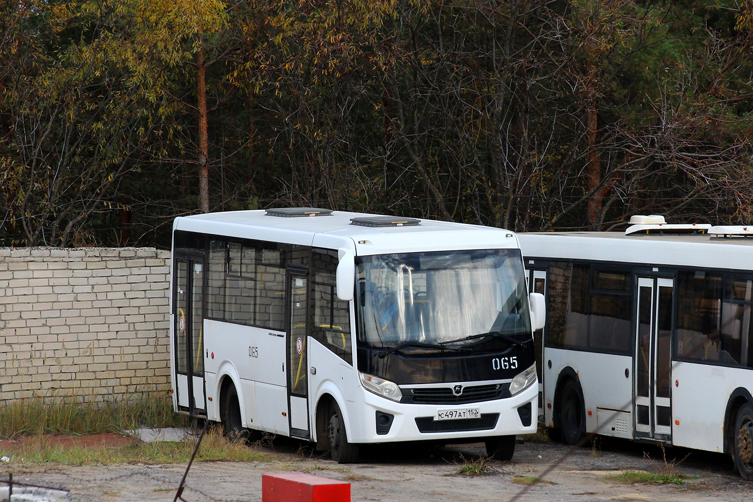 Нижегородская область, ПАЗ-320435-04 "Vector Next" № 065