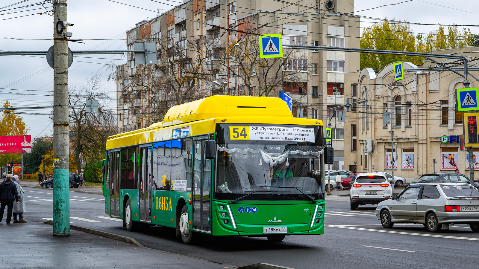 Пензенская область, МАЗ-203.948 № Т 185 МХ 58