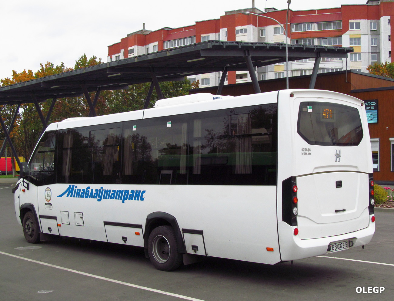 Минская область, Неман-420434-501 № 24571 Минская область, Неман-420434-501 № 24571
