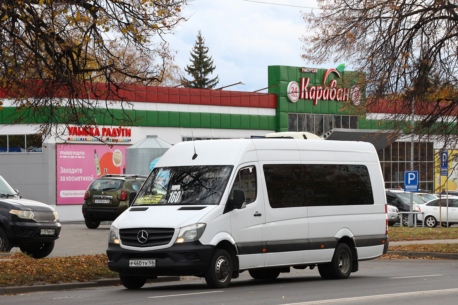 Пензенская область, Луидор-223690 (MB Sprinter) № Р 460 ТК 58