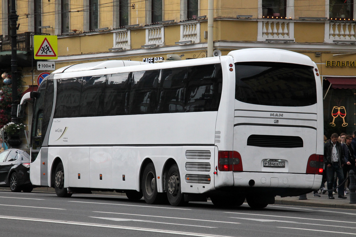 Санкт-Петербург, MAN R08 Fortuna Mega RHC464 № Р 184 ЕХ 777