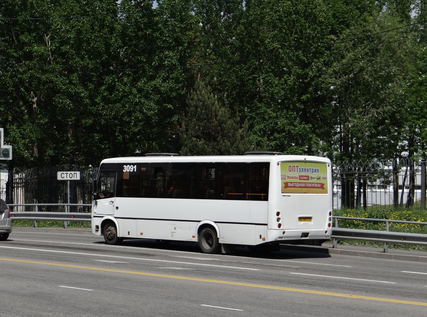 Камчатский край, ПАЗ-320414-04 "Вектор" (1-2) № 3091