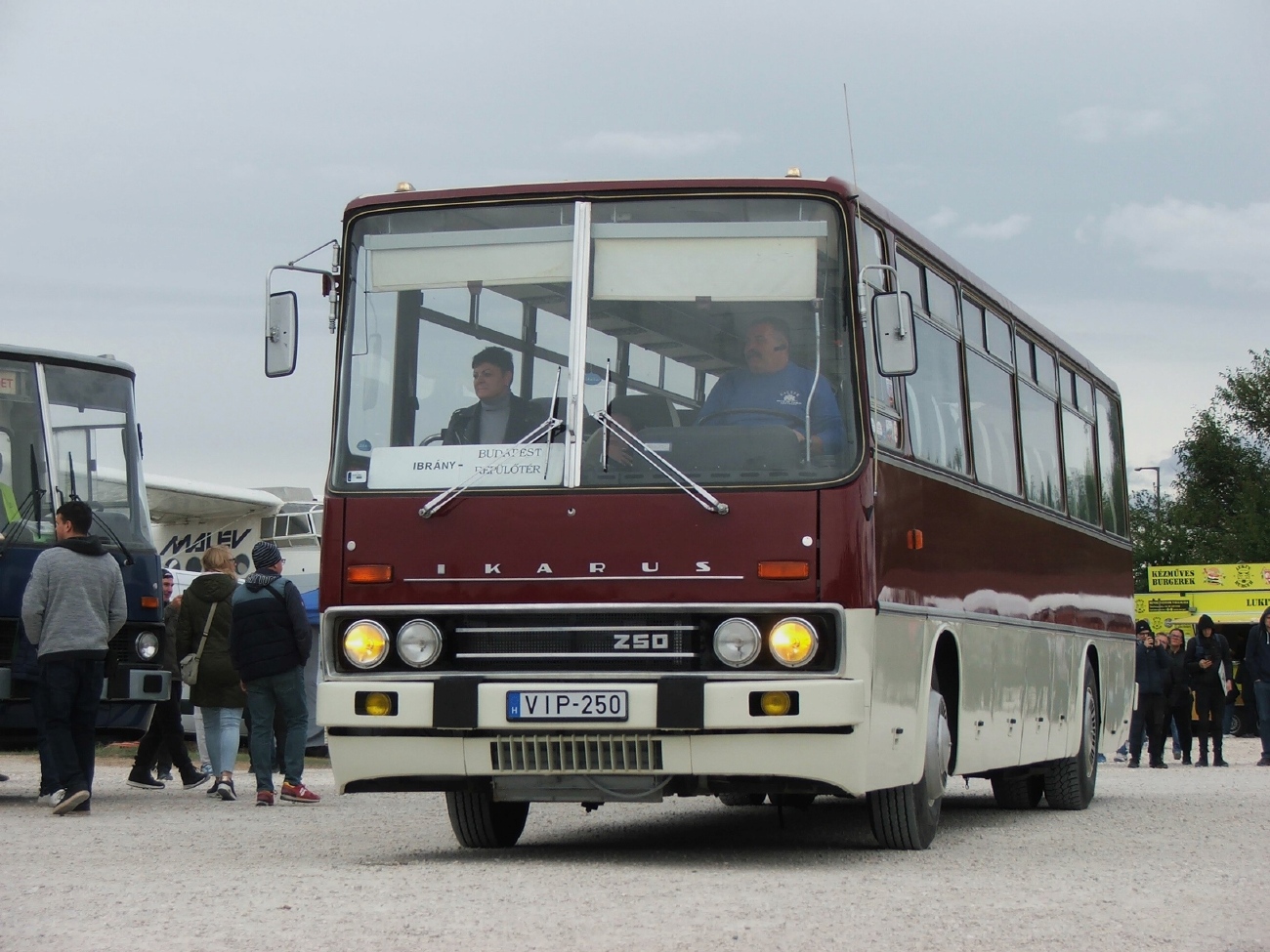 Венгрия, Ikarus 250.01 № VIP-250; Венгрия — VII. Ikarus Találkozó, Aeropark (2025) Венгрия, Ikarus 250.01 № VIP-250; Венгрия — VII. Ikarus Találkozó, Aeropark (2025)
