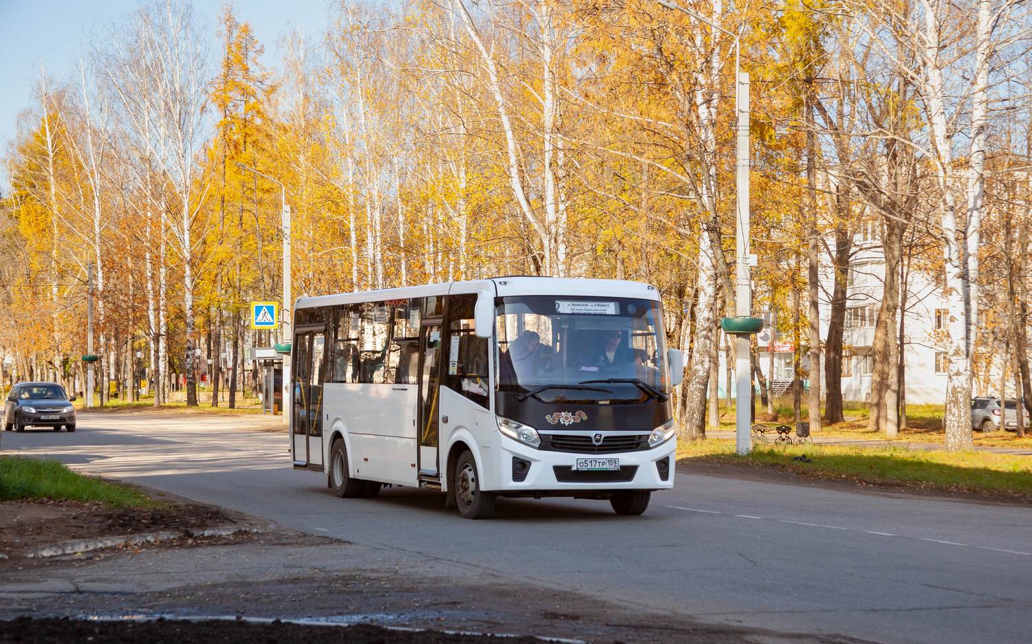 Пермский край, ПАЗ-320425-04 "Vector Next" № О 517 ТР 159