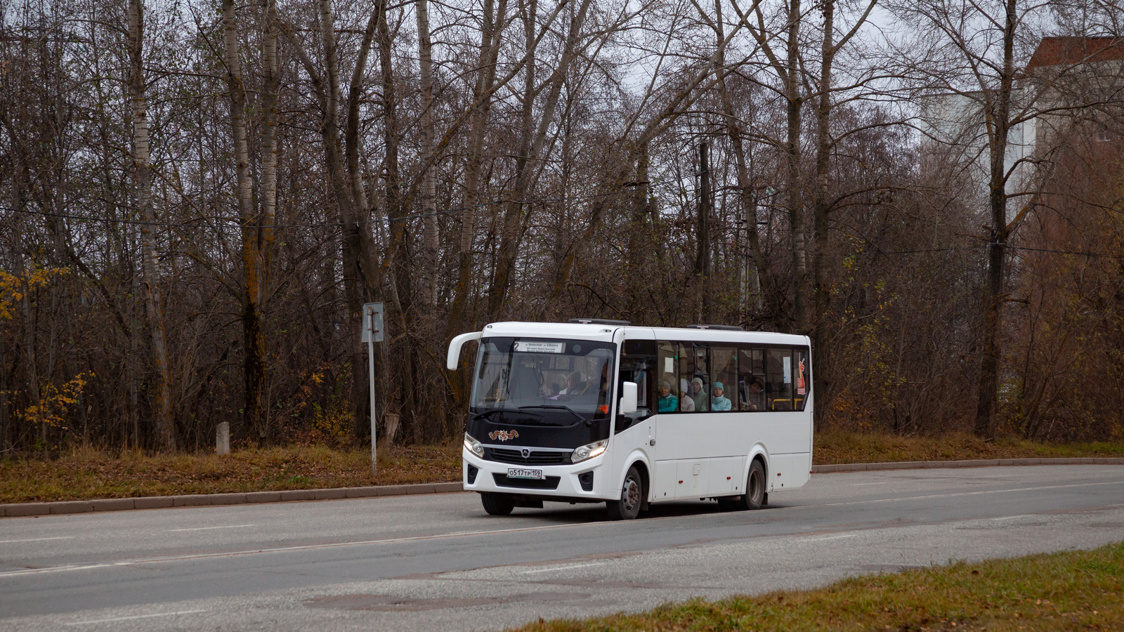 Пермский край, ПАЗ-320425-04 "Vector Next" № О 517 ТР 159