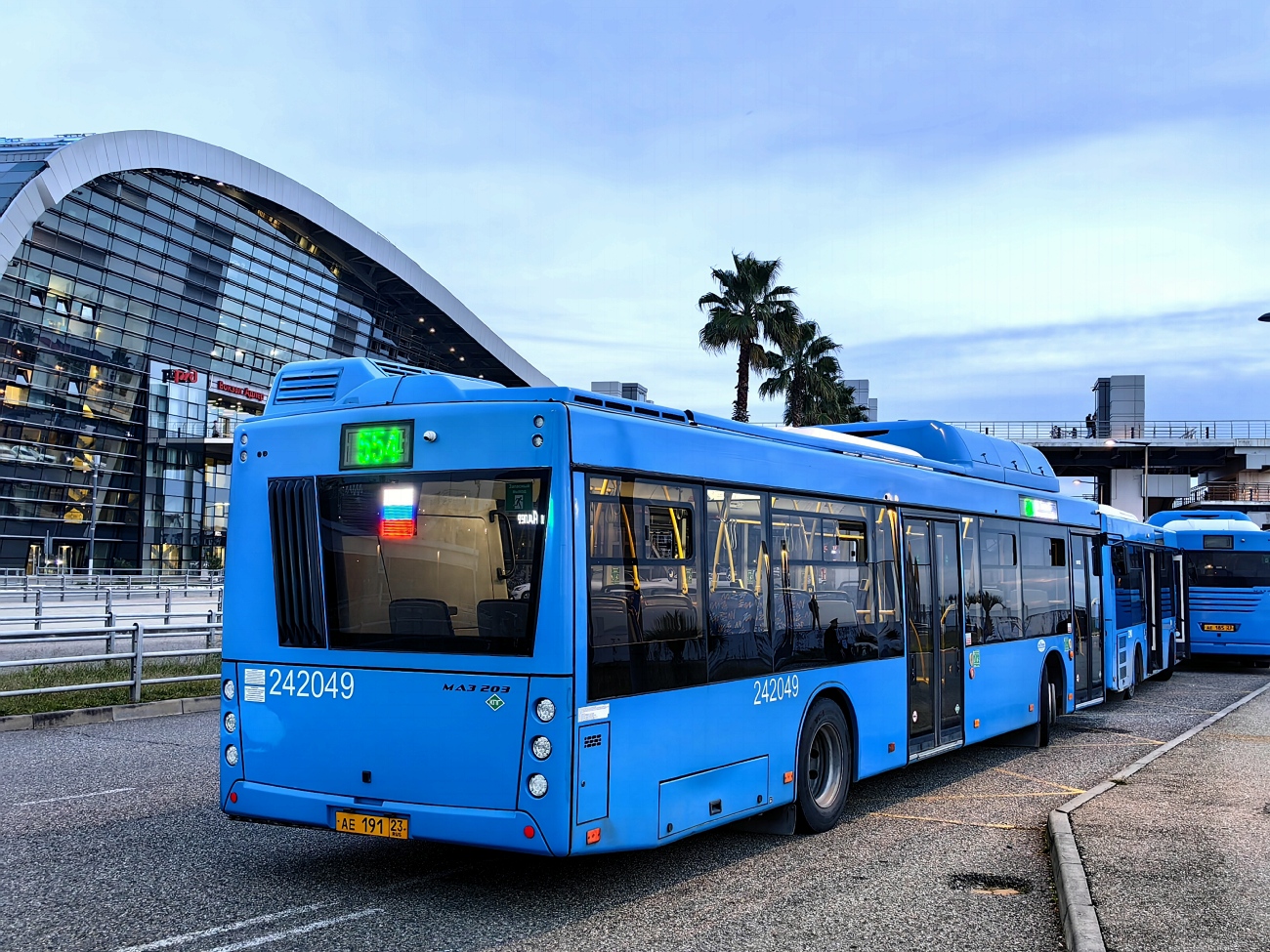 Краснодарский край, МАЗ-203.С65 № 242049; Краснодарский край, МАЗ-206.086 № 33140