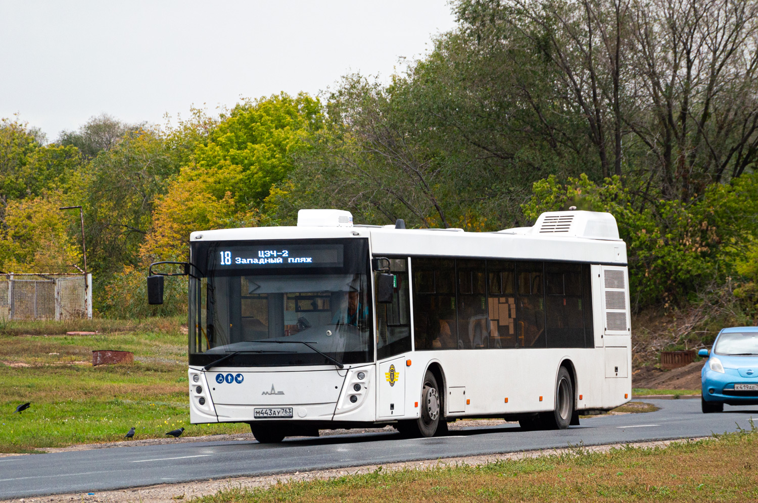 Самарская область, МАЗ-203.047 № М 443 АУ 763