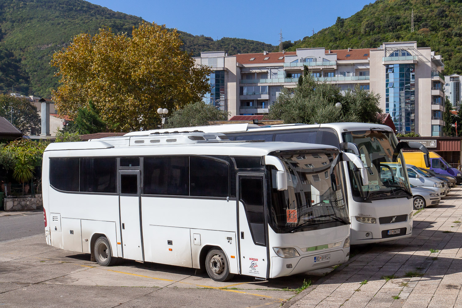 Черногория, Tezeller Tiger № BD BV814 Черногория, Tezeller Tiger № BD BV814
