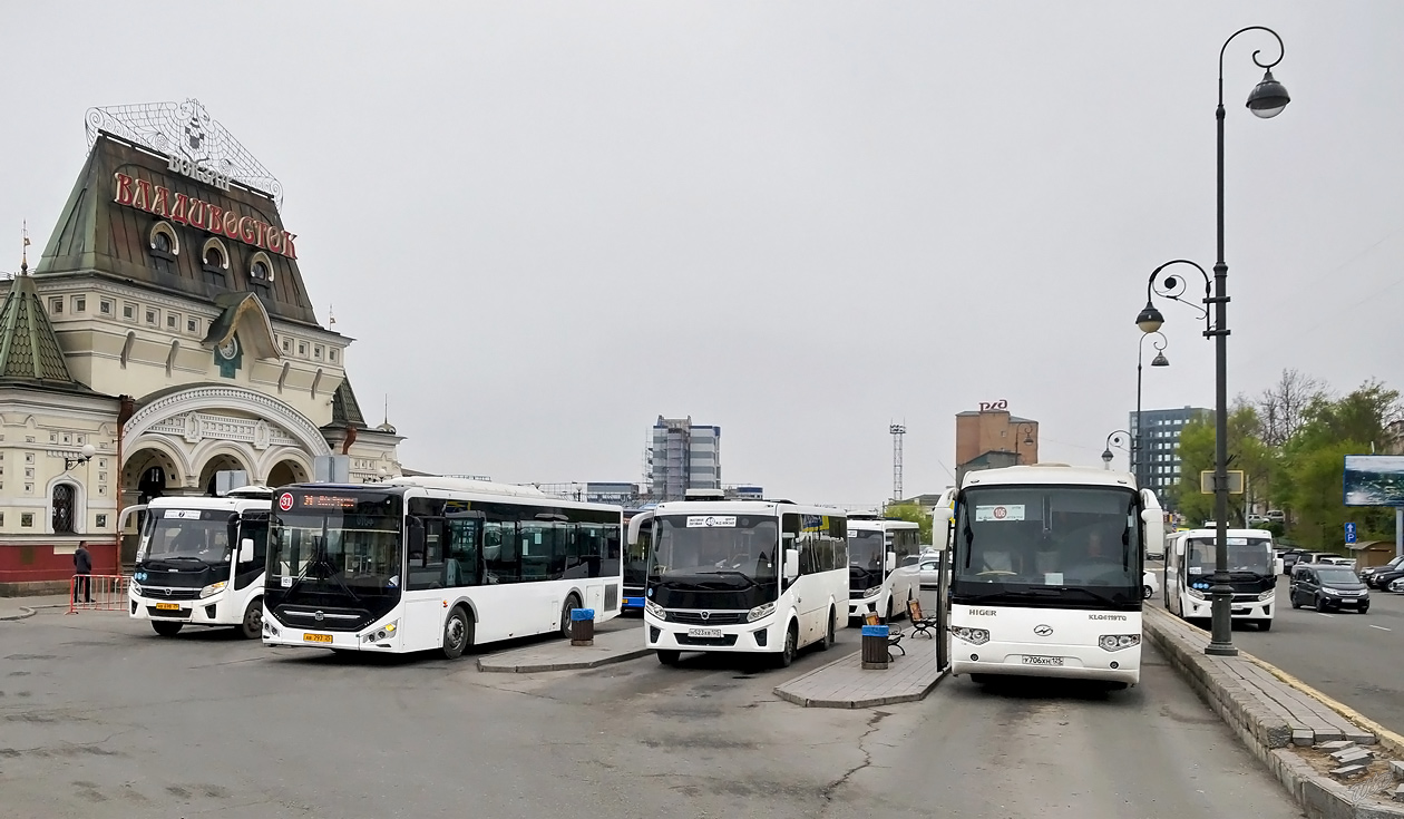 Приморский край, Zhong Tong LCK6105HG № АВ 797 25; Приморский край, ПАЗ-320435-04 "Vector Next" № Н 523 ХВ 125; Приморский край, Higer KLQ6129TQL № У 706 ХН 125