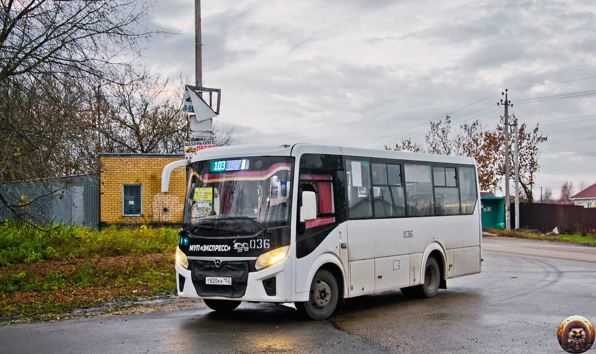 Нижегородская область, ПАЗ-320435-04 "Vector Next" № 036