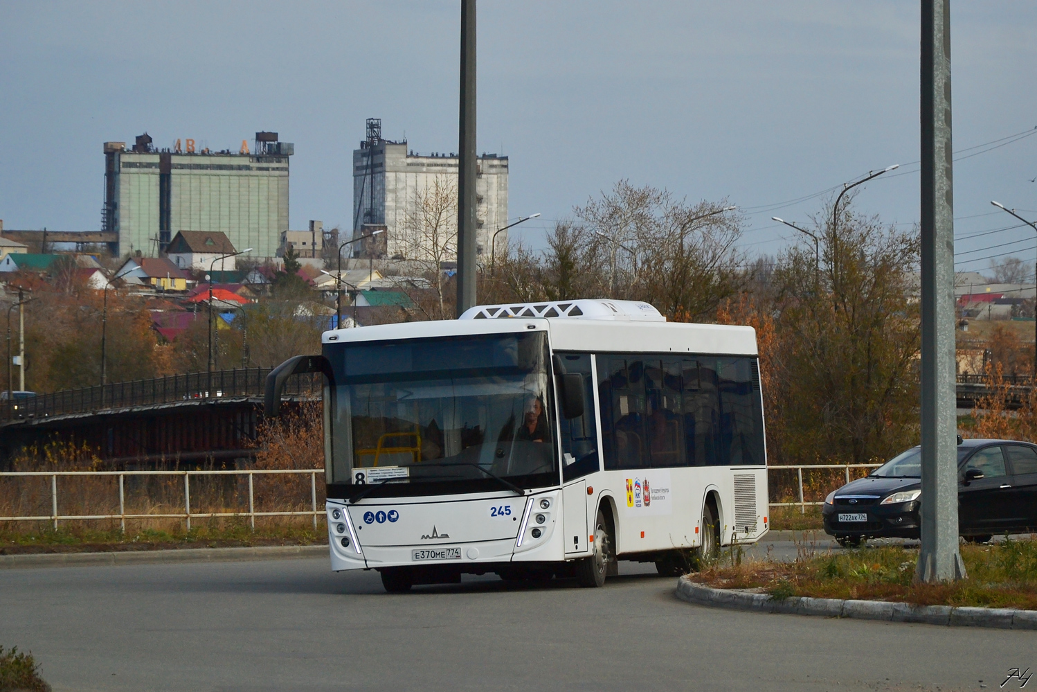 Челябинская область, МАЗ-206.047 № 245