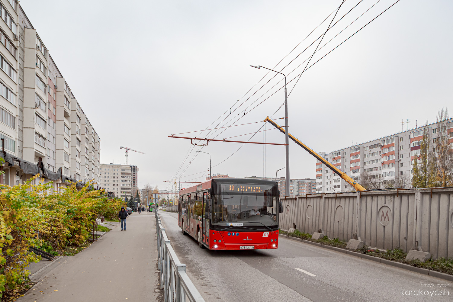 Татарстан, МАЗ-203.069 № 437