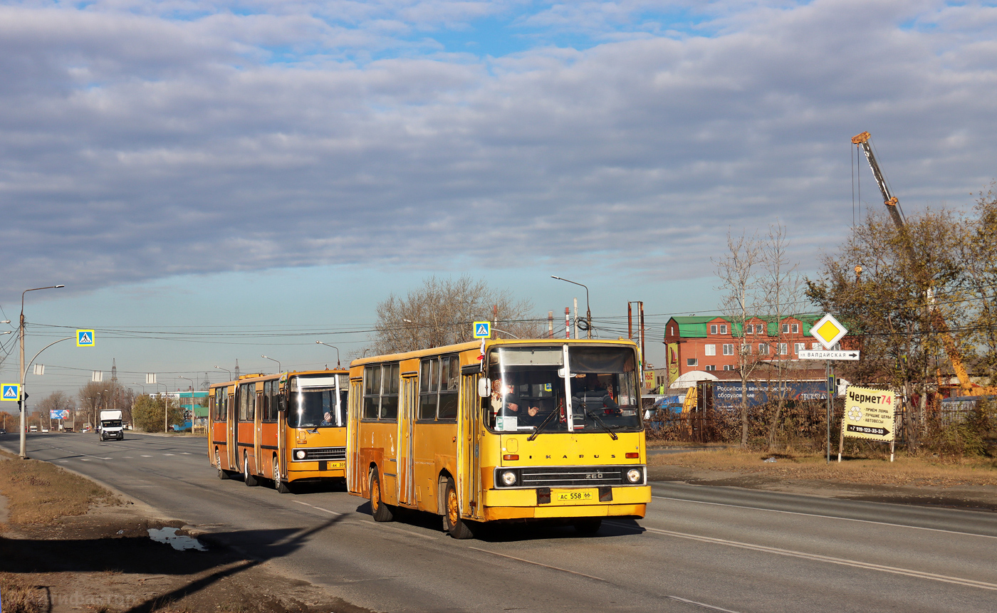 Челябинская область, Ikarus 260.01 № АС 558 66; Челябинская область — Автопробег в честь Дня работника автомобильного и городского пассажирского транспорта (26.10.25 г.)