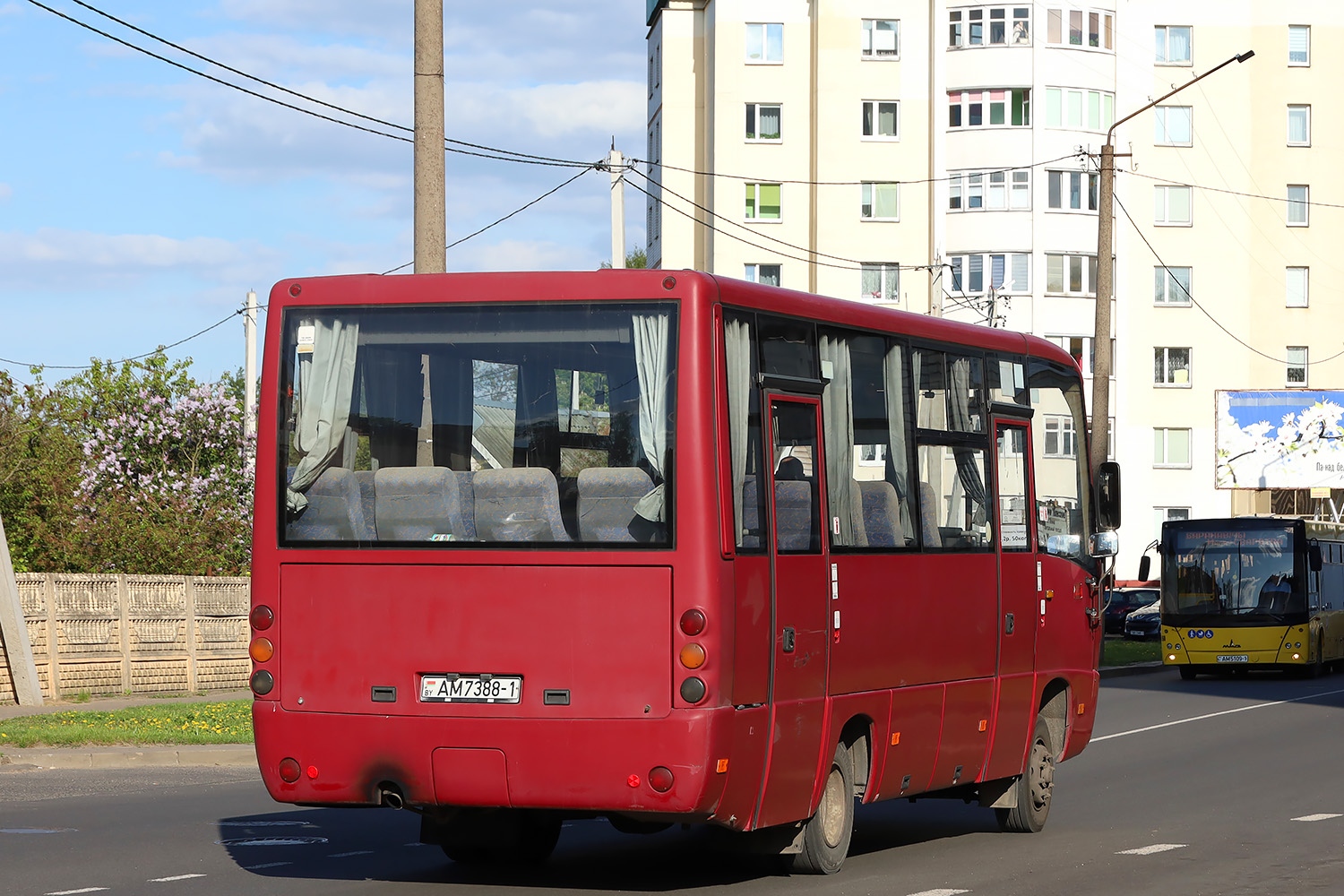 Брестская область, МАЗ-256.270 № АМ 7388-1