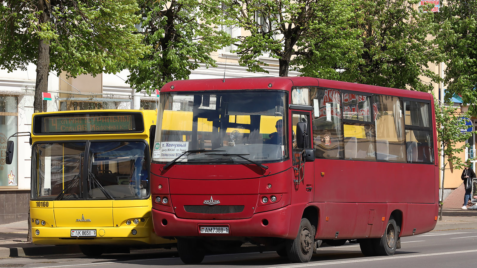 Brestská oblast, MAZ-256.270 č. АМ 7388-1