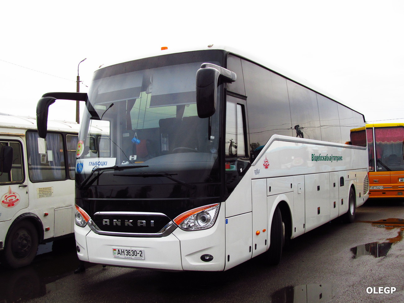 Витебская область, Ankai A9 № АН 3630-2