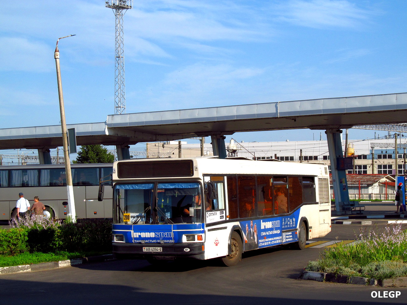 Витебская область, МАЗ-103.065 № 010881