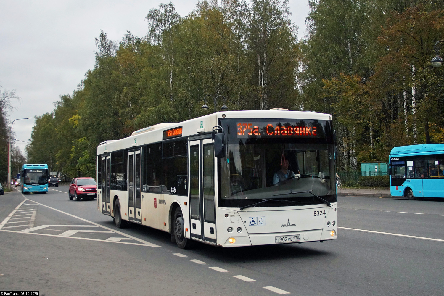 Санкт-Петербург, МАЗ-203.085 № 8334