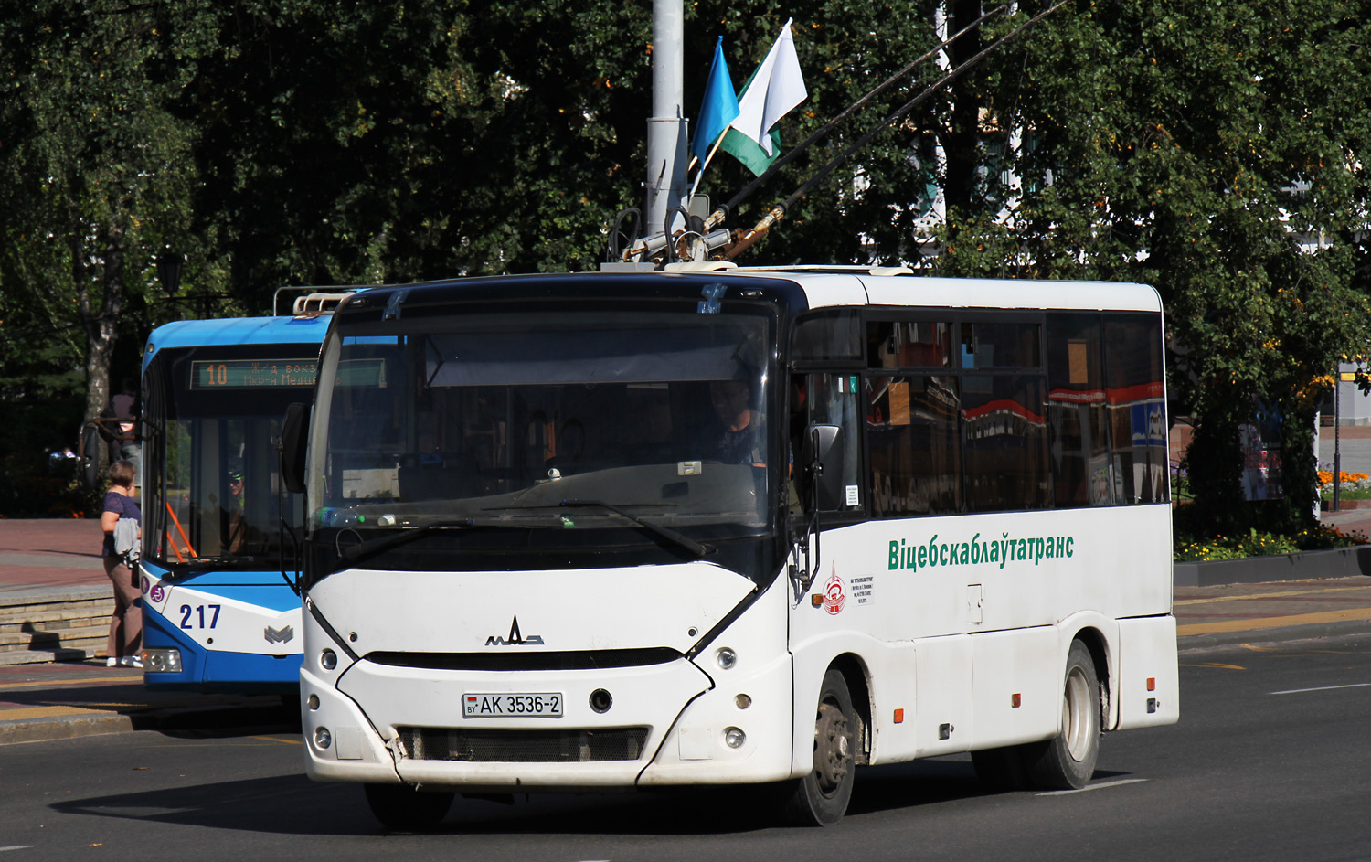 Витебская область, МАЗ-241.000 № 022871