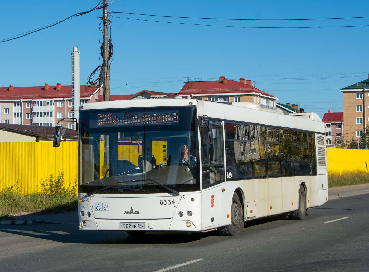 Санкт-Петербург, МАЗ-203.085 № 8334