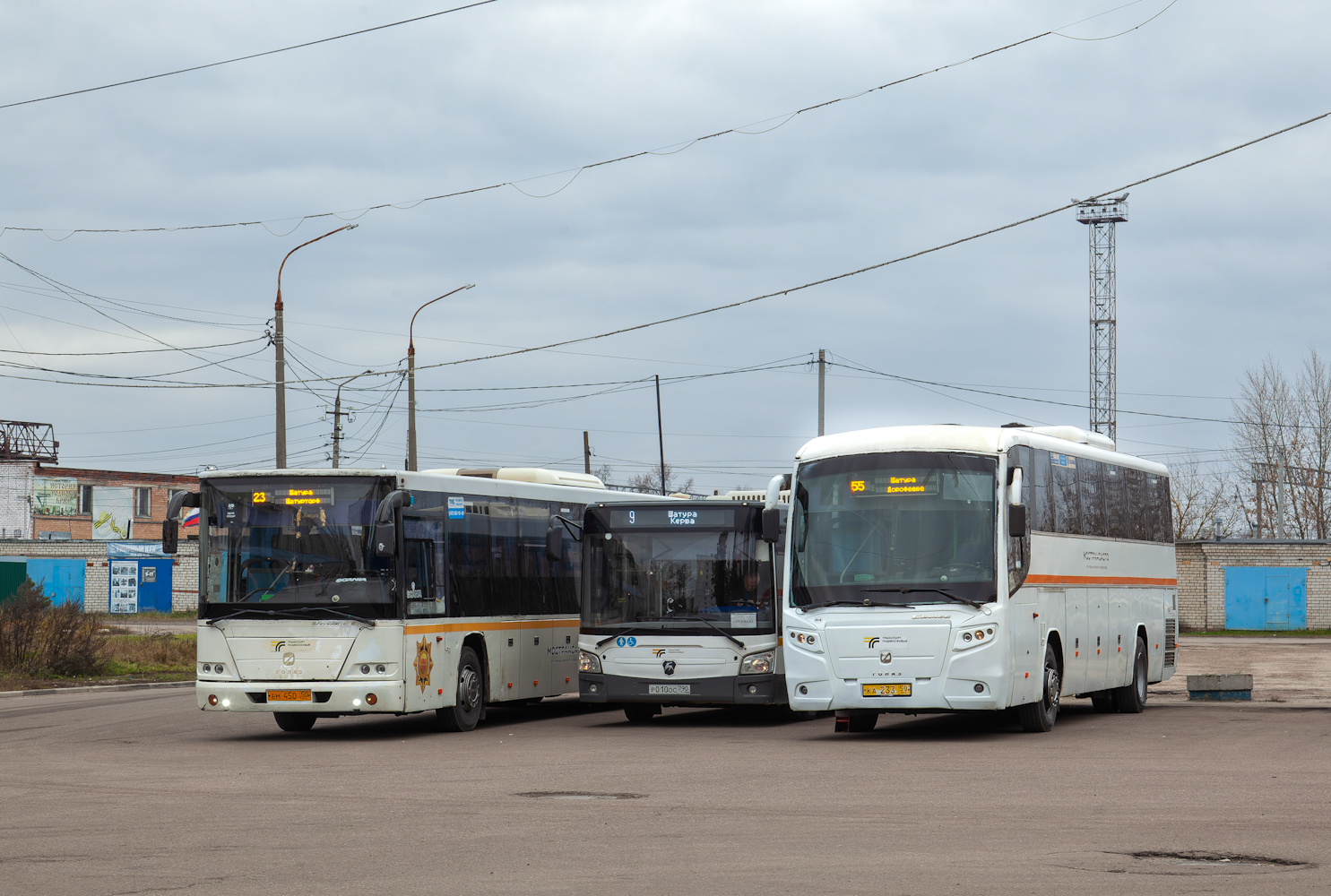 Московская область, ГолАЗ-529115-1x № 041515