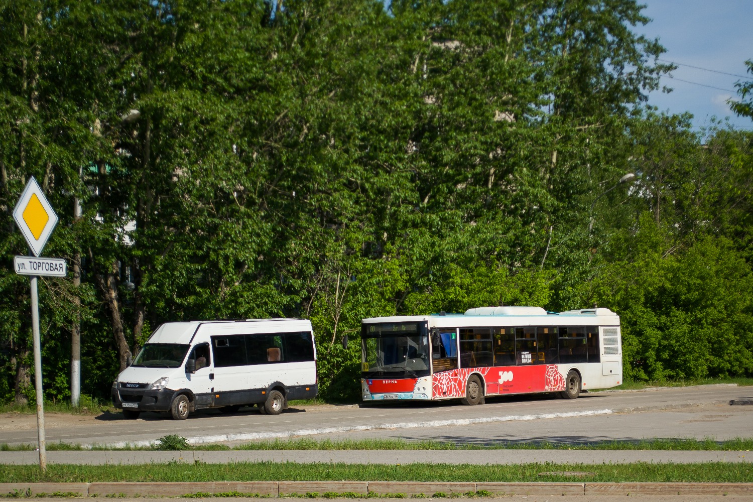 Пермский край, МАЗ-203.016 № Н 865 ЕН 159