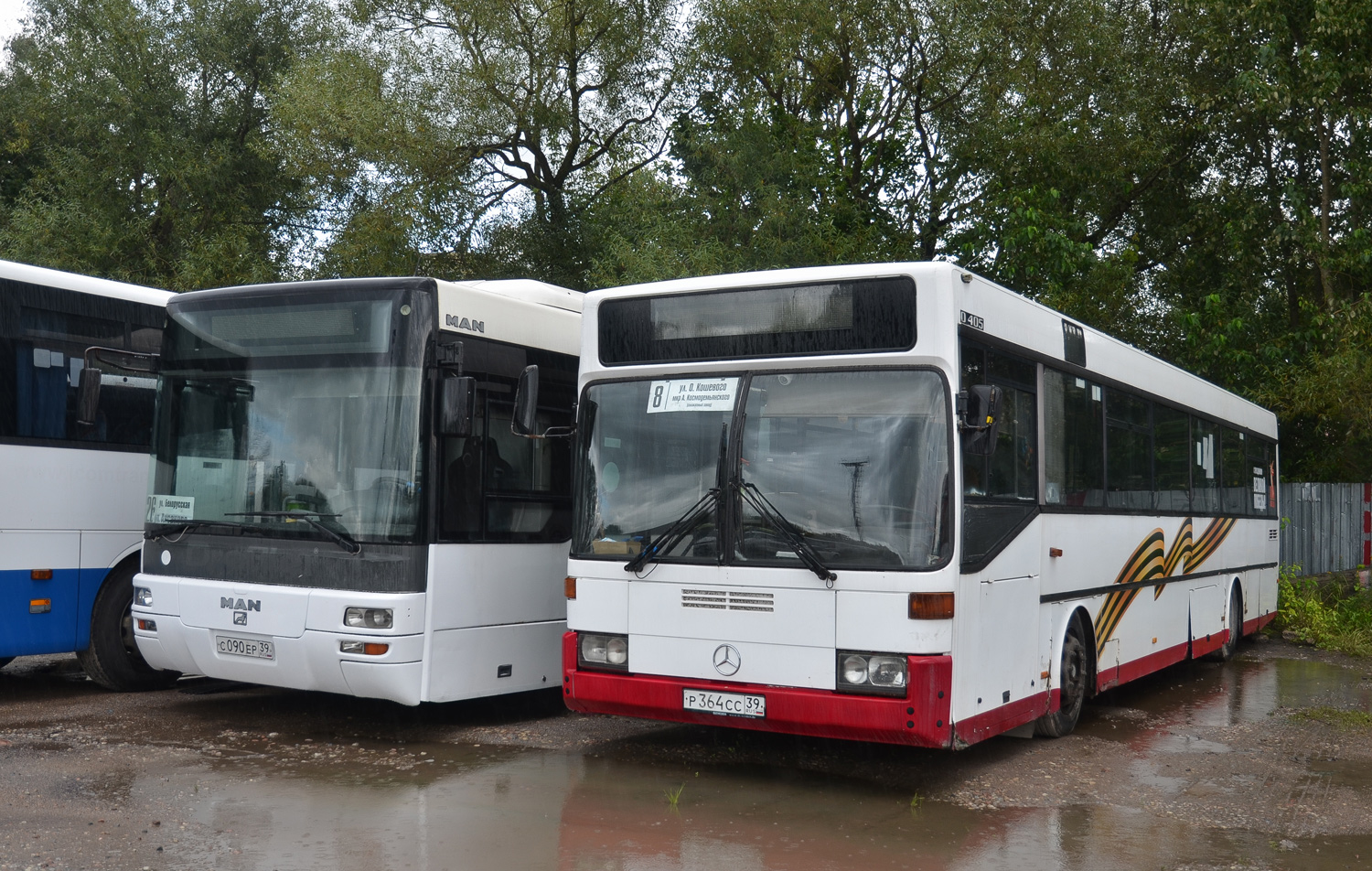 Калининградская область, Mercedes-Benz O405 № Р 364 СС 39