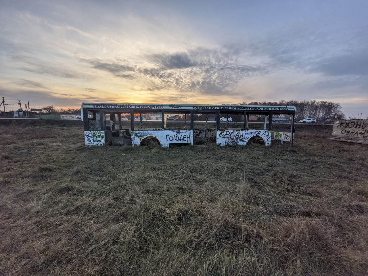 Новосибирская область, ЛиАЗ-5292.20 № У 644 ВР 55