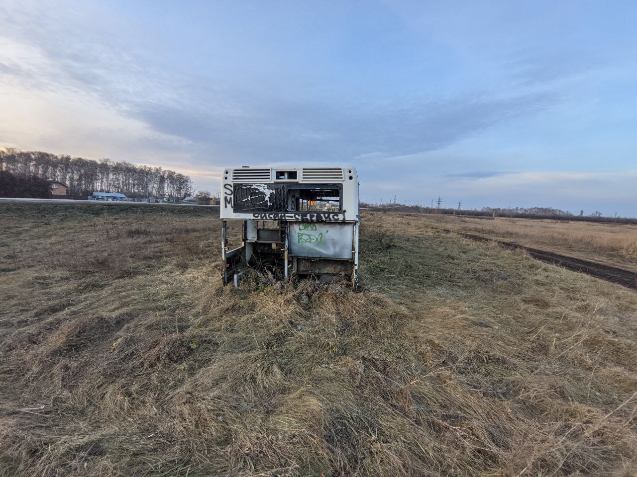 Новосибирская область, ЛиАЗ-5292.20 № У 644 ВР 55