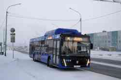 Красноярский край, МАЗ-203.948 № К 710 ТУ 124